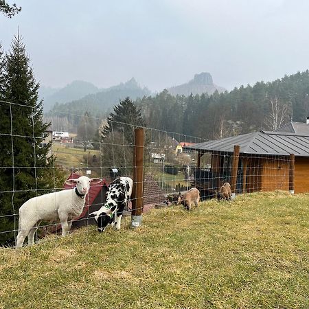 Natur Resort Jetrichovice エクステリア 写真