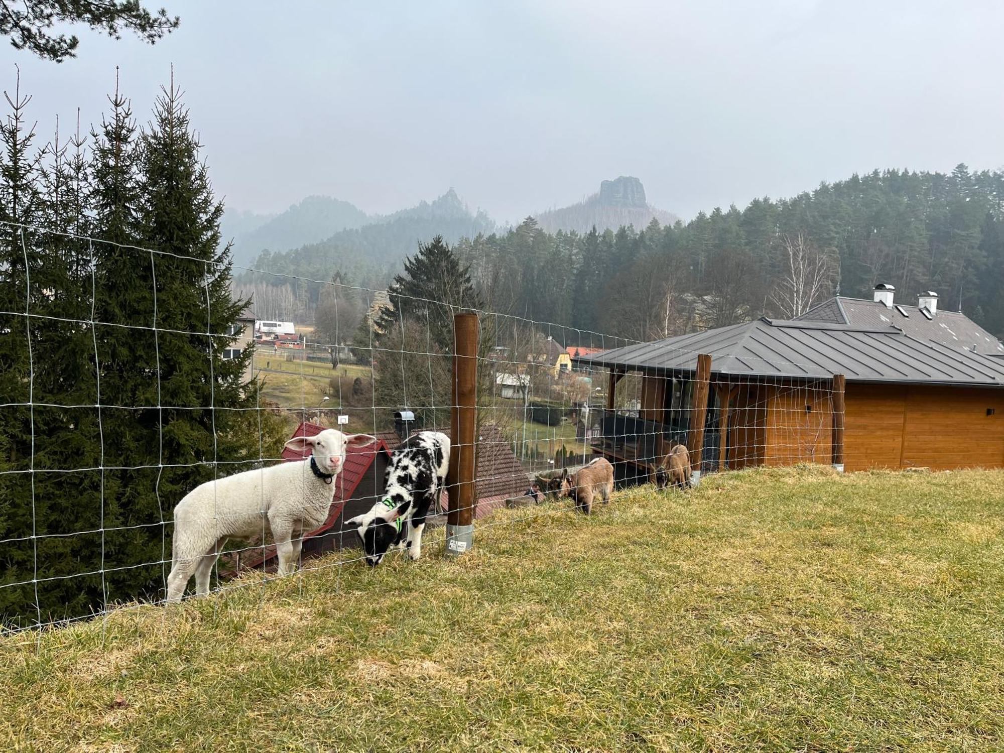 Natur Resort Jetrichovice エクステリア 写真