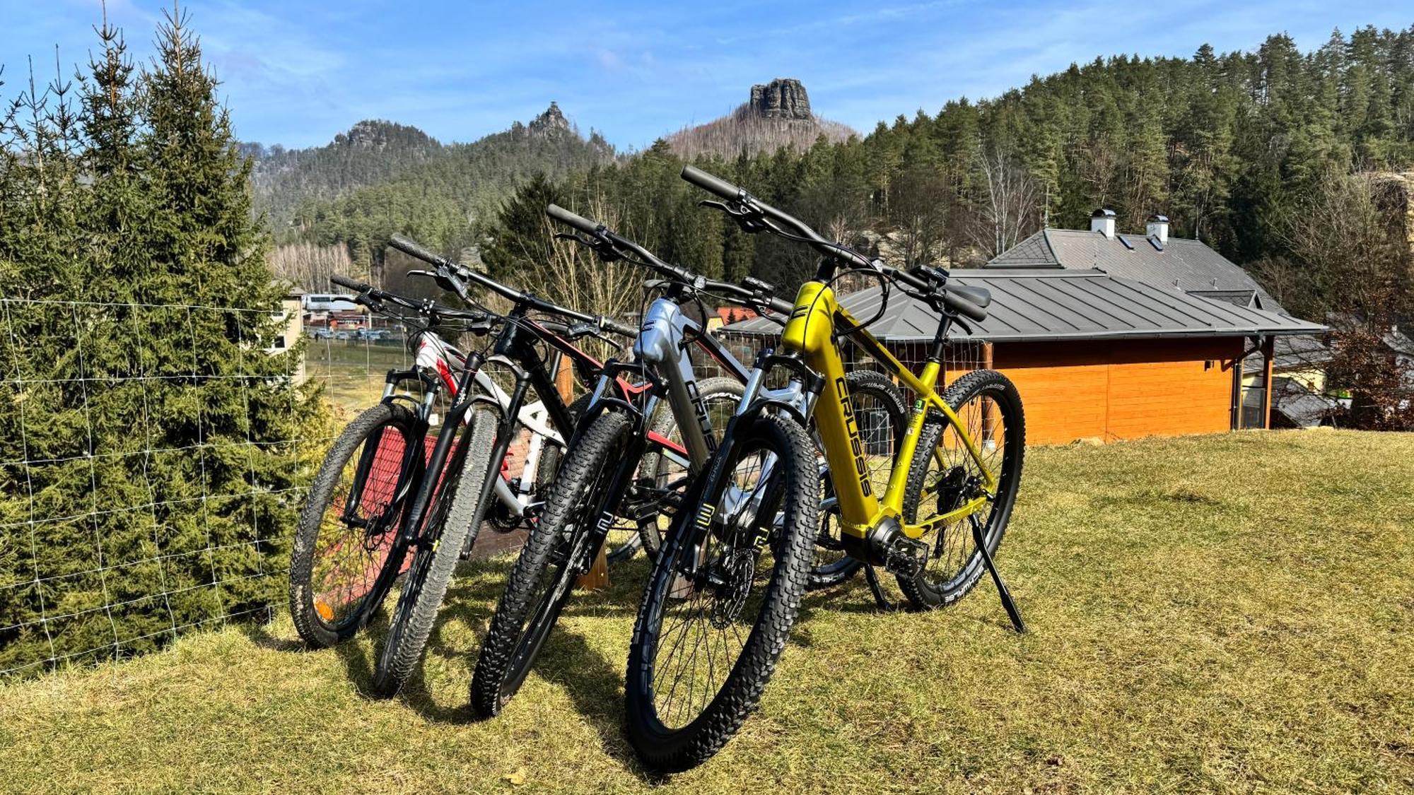 Natur Resort Jetrichovice エクステリア 写真